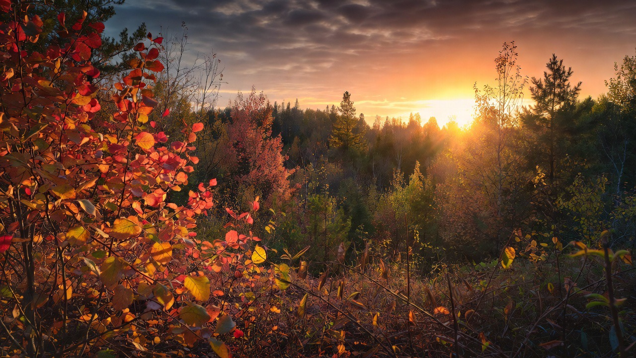 The Official Countdown to Fall 2026